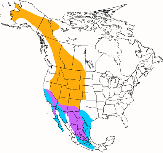 bird range map