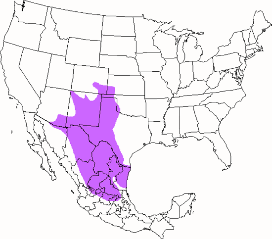 bird range map