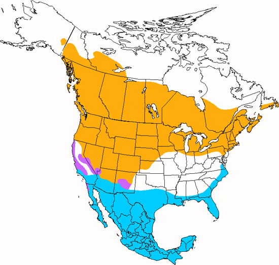 bird range map