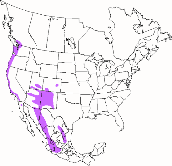 bird range map