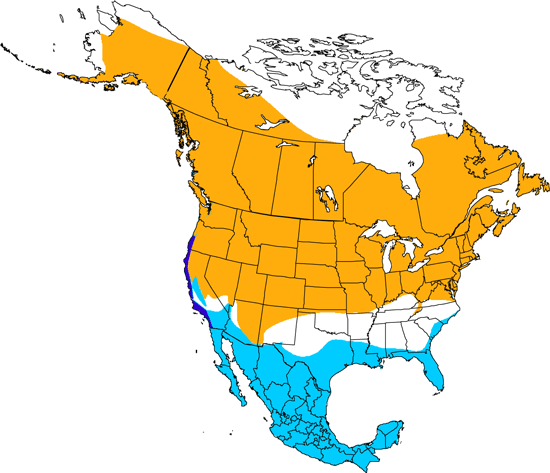 bird range map