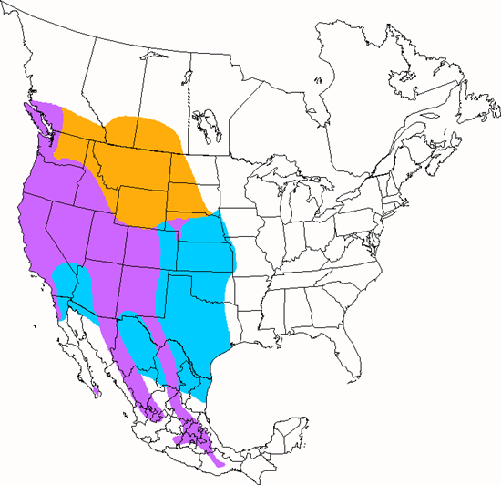 bird range map