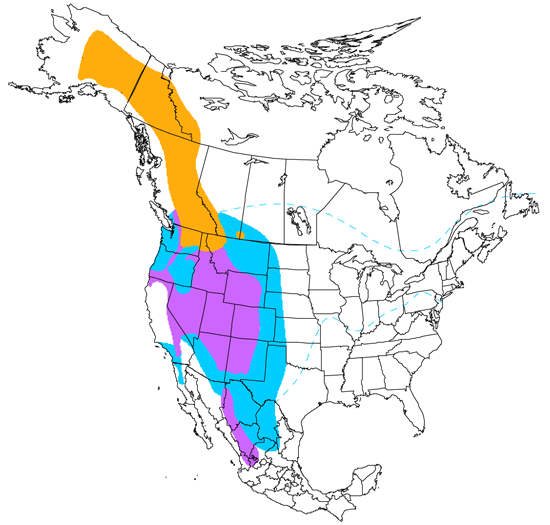 bird range map