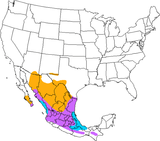 bird range map