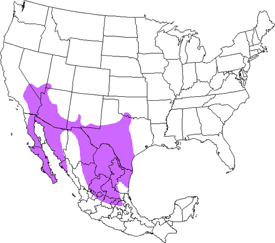 bird range map