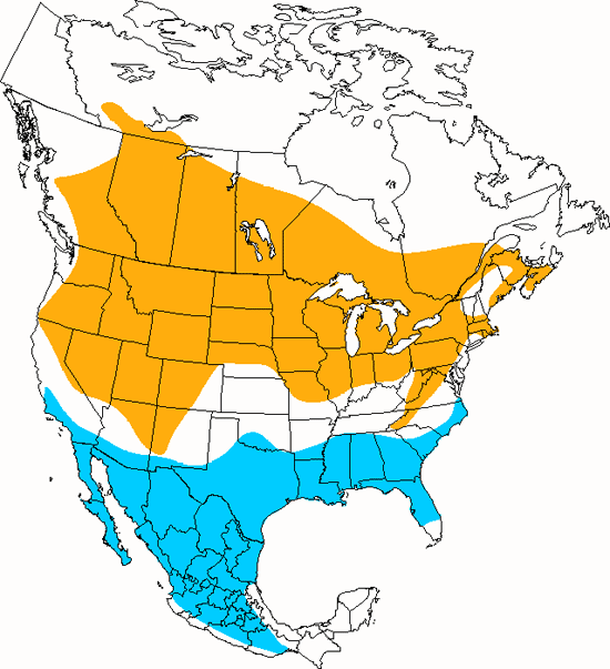 bird range map