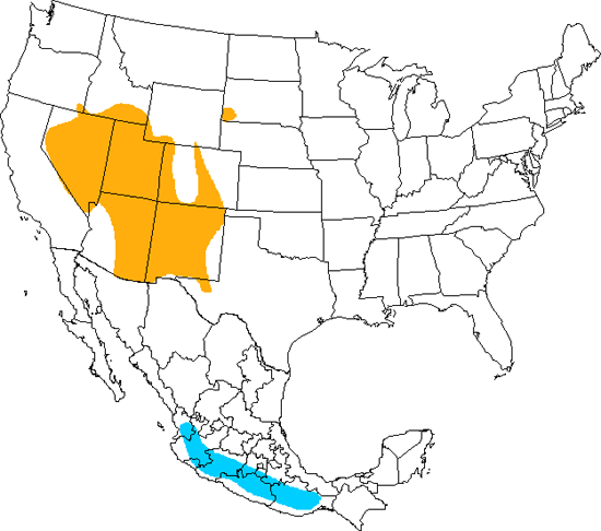 bird range map