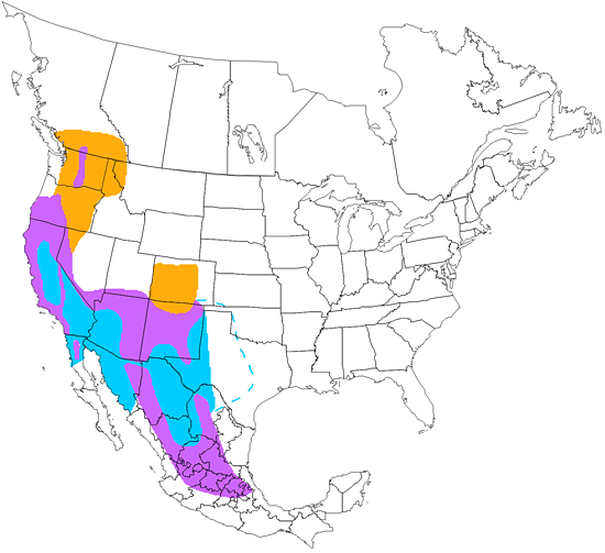 bird range map