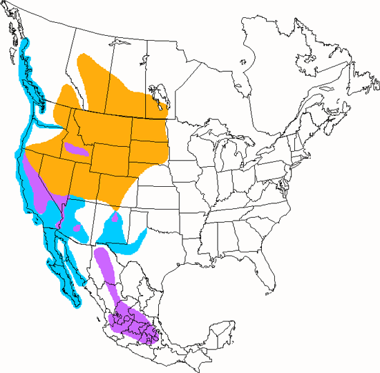 bird range map