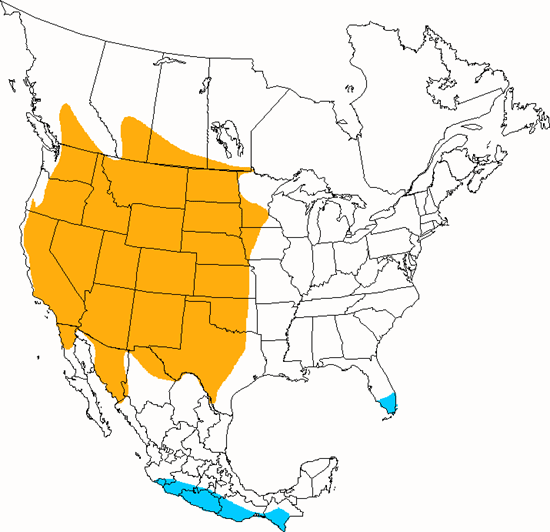 bird range map