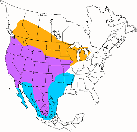 bird range map