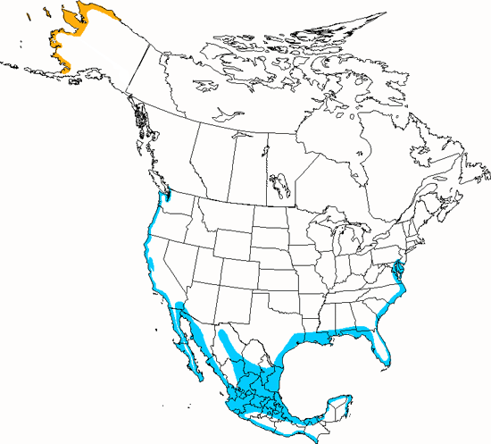 bird range map