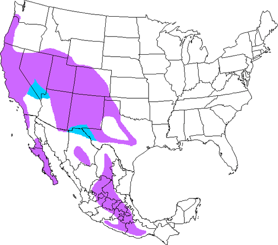 bird range map