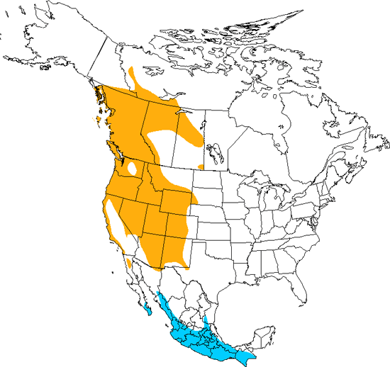 bird range map