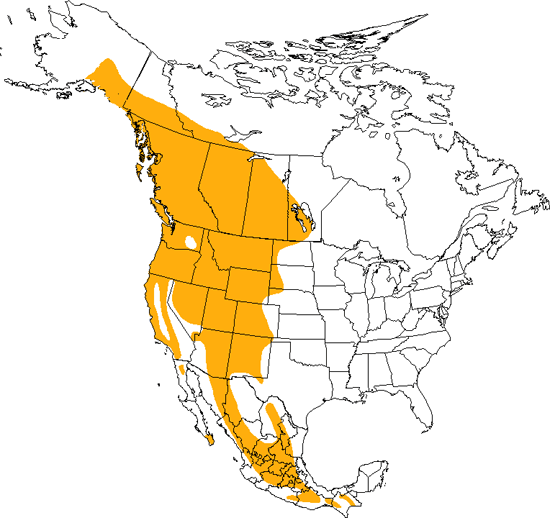 bird range map