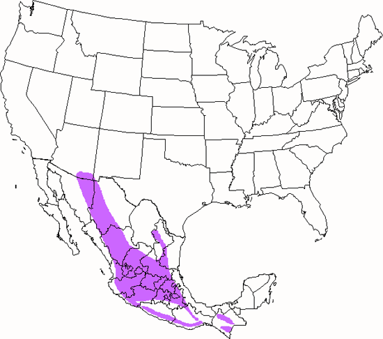 bird range map