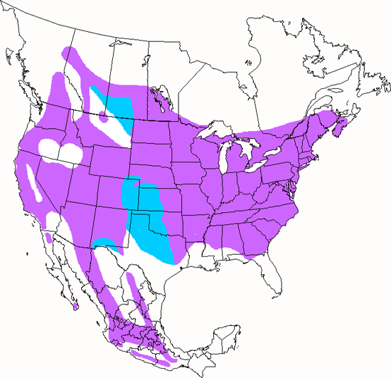 bird range map