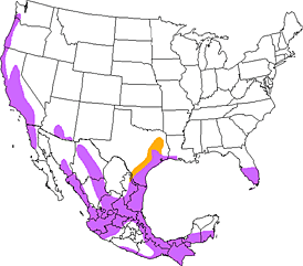 bird range map