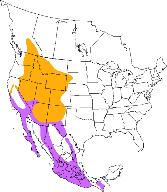 bird range map