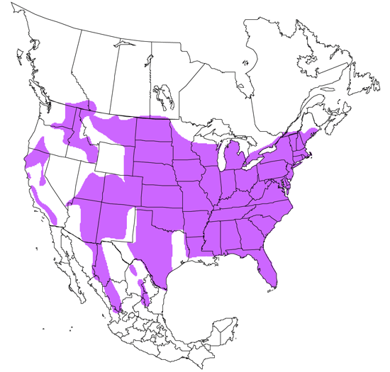 bird range map