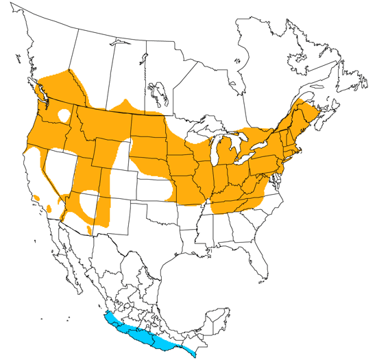 bird range map