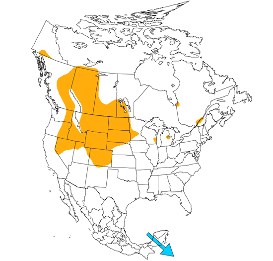 bird range map