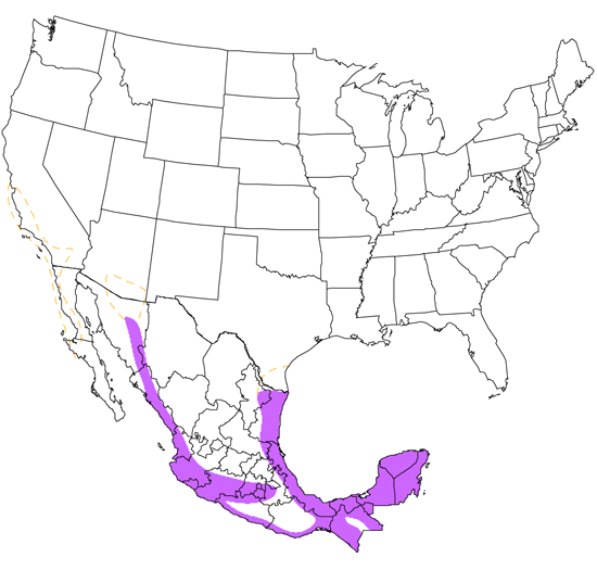 bird range map