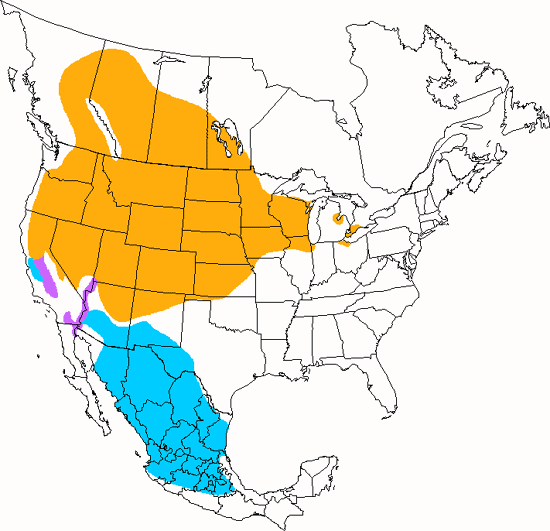 bird range map