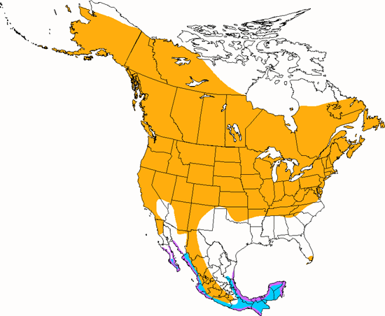 bird range map