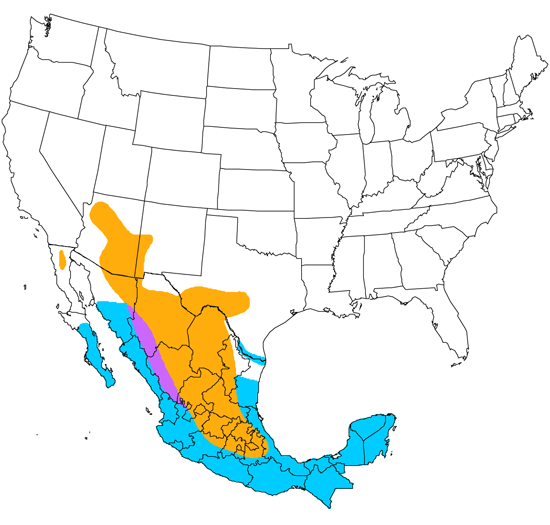 bird range map