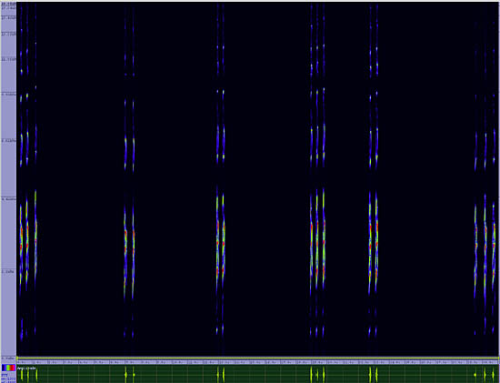 bird sonogram