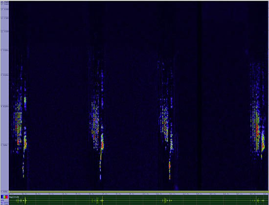 bird sonogram