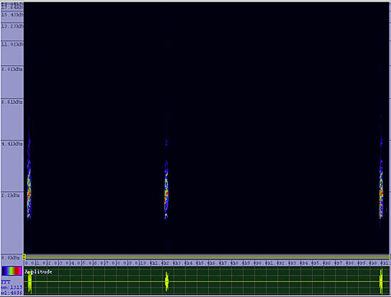 bird sonogram