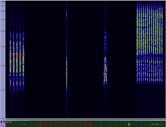 bird sonogram