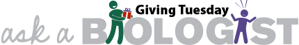 Giving Tuesday Feature Logo