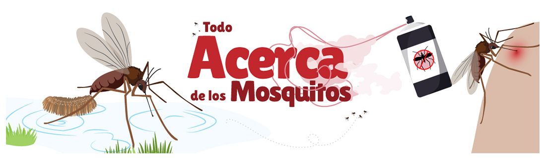 Una ilustración para una historia sobre mosquitos, con un mosquito siendo rociado con insecticida