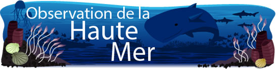 Observation de la Haute Mer