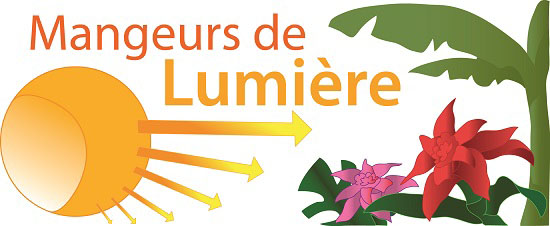 Mangeurs de Lumière