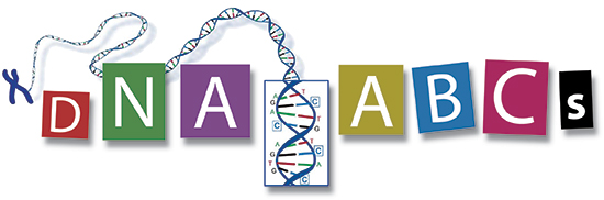 Introduction to DNA