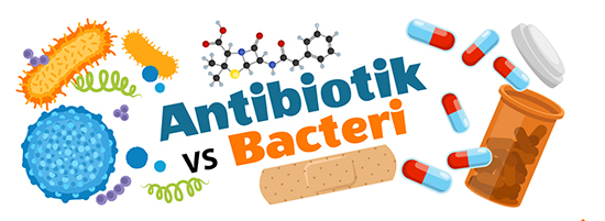 Antibiotics versus bacteria in indonesian