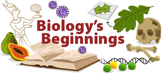 History of biology illustration