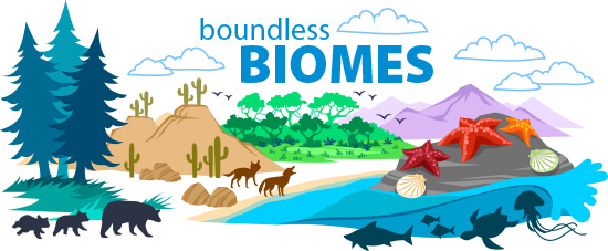 Boundless Biomes