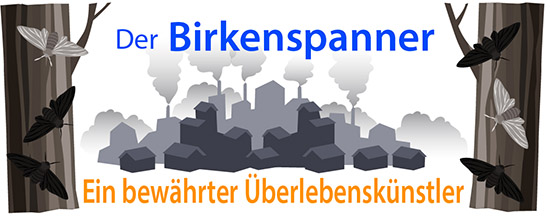 Der Birkenspanner