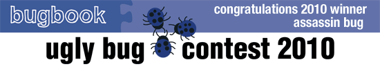 Ugly bug contest 2010 banner