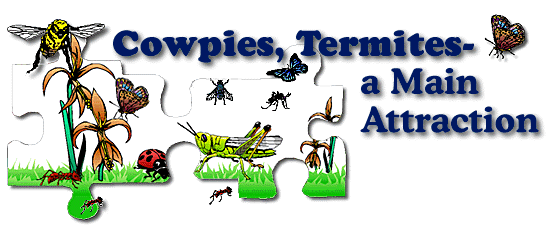 Illustration of insects and plants