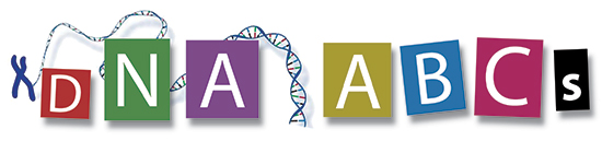 DNA basics