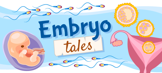 An illustration for "embryo tales" stories, that features an embryo, sperm, follicles, and a uterus