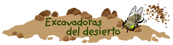 Excavadoras del desierto