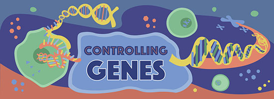 Gene expression story illustration showing DNA going through cell parts