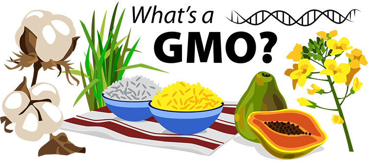 What's a GMO?